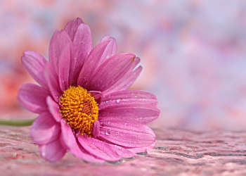 Dia yang Mengaku Mudah Tergoda Perempuan