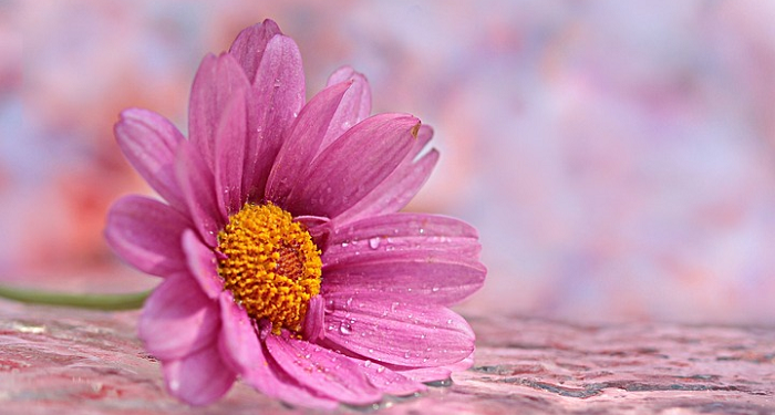 Dia yang Mengaku Mudah Tergoda Perempuan