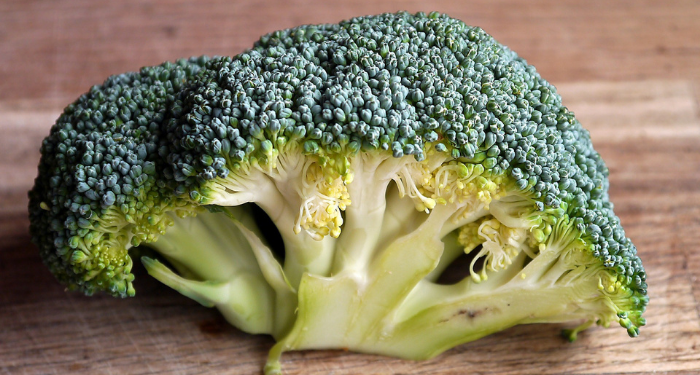 Sebab-Sebab Istri Boleh Menggugat Cerai