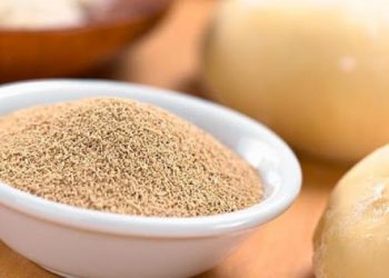 Tips Cara Mengetahui Ragi Masih Aktif atau Tidak