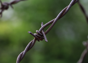 Nikah Muda Solusi Menjauhi Perkara Zina