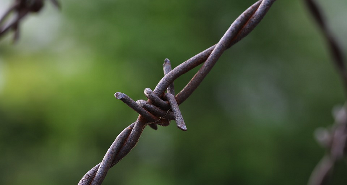 Nikah Muda Solusi Menjauhi Perkara Zina