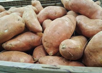Sarapan Pagi Istimewa dengan Sweet Potatoes Bowl