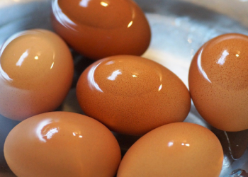 Menjaga Izzah dan Menutupi Aib Pasangan