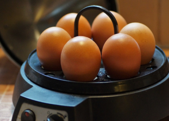 Kehabisan Gas Saat Merebus Telur, Gantikan dengan Alat ini
