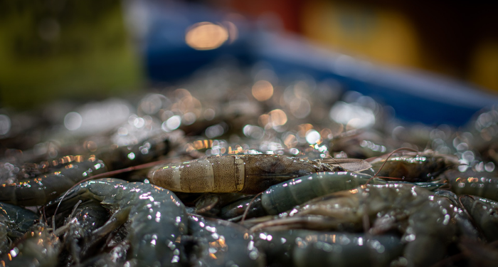 Menjaga Izzah dan Menutupi Aib Pasangan