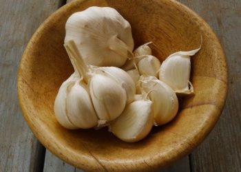 Manfaat bawang putih untuk kesehatan