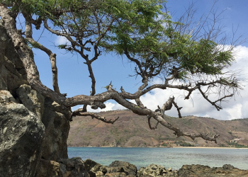 - Catatan akhir kunjungan ke Lombok itu
