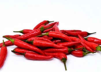 Tips menggoreng cabe agar minyak tidak menciprat