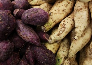 Sarapan Pagi dengan Sarang Telur Ubi Jalar Panggang