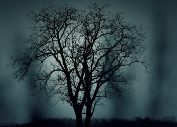 Seperti Inilah Qishas di Hari Kiamat