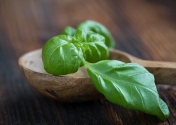 Rahasia Rambut Berkilau dengan Masker Kemangi