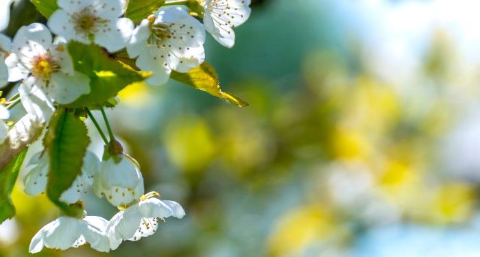 Tips agar tampil cantik alami