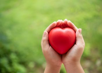 Bukan Cinta Monyet, Tapi Monyet yang Sedang Jatuh Cinta