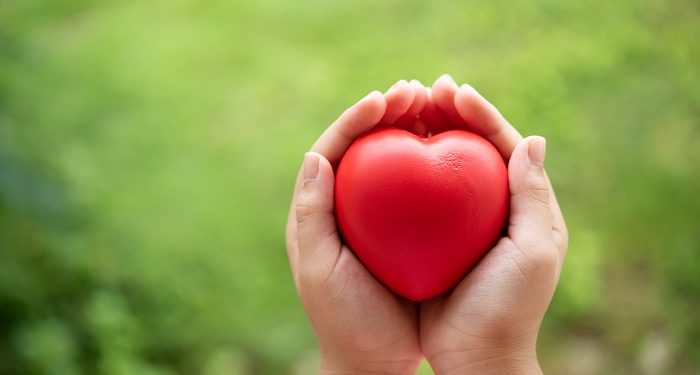 Bukan Cinta Monyet, Tapi Monyet yang Sedang Jatuh Cinta