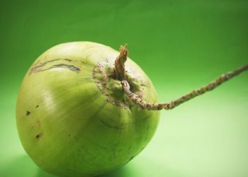 Manfaat air kelapa hijau