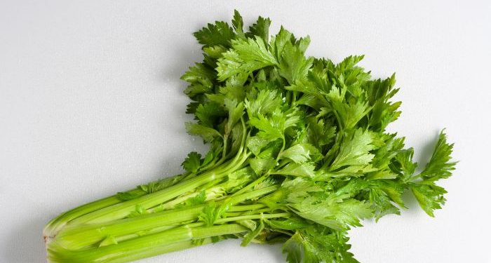 Manfaat jus seledri untuk kesehatan