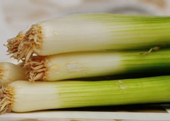 Tips menyimpan daun bawang agar tahan lama