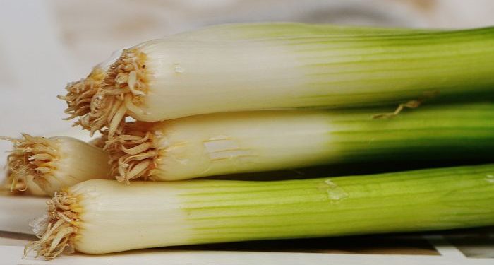Tips menyimpan daun bawang agar tahan lama
