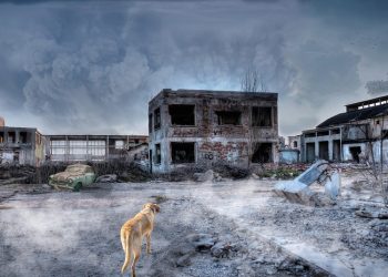 Bencana, antara Sebab, Hikmah, dan Solusi untuk Orang Beriman