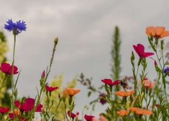 Penyebab wanita masuk neraka