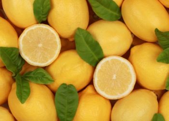 Hilangkan noda berminyak