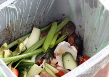 Tips mengurangi limbah makanan