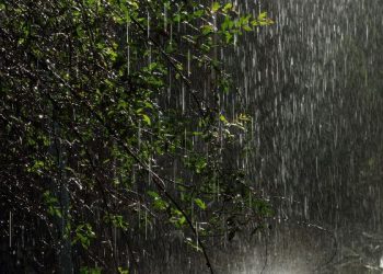 Musim hujan, berikut tips merawat kulit