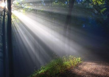 Nasihat Asma Binti Abu Bakar Saat Putranya di Ambang Kematian