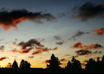 Pentingnya shalat dhuha