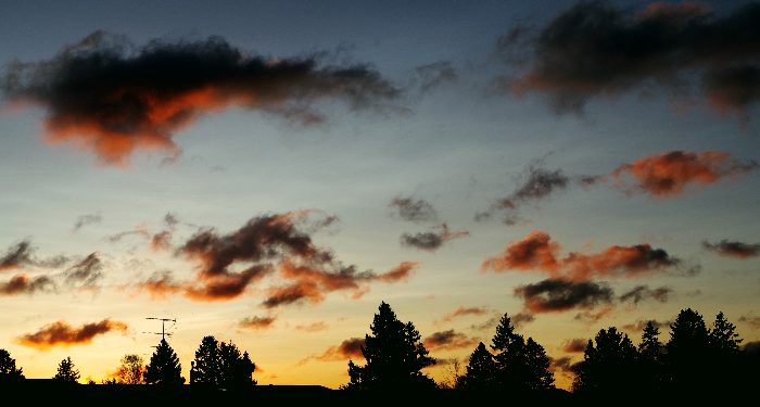 Pentingnya shalat dhuha