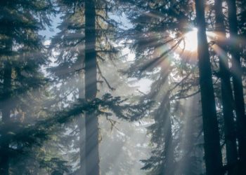 Kata-Kata Bijak Orangtua untuk Hidup Lebih Baik