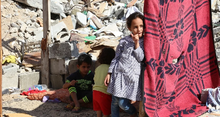 Adara Relief International Rilis Program Qurban Barokah 1440 H untuk Palestina