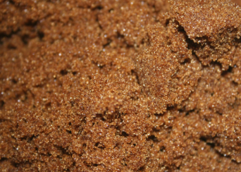 Mengajak Anak untuk Belajar Islam ketika Ibu dan Ayah Berbeda Keyakinan