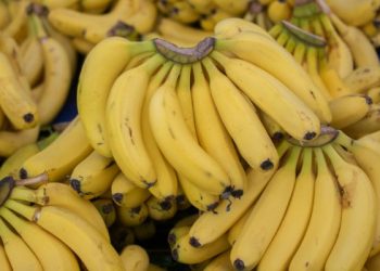 Bahan kue pengganti gula