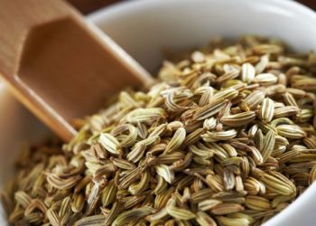 Manfaat adas bagi kesehatan