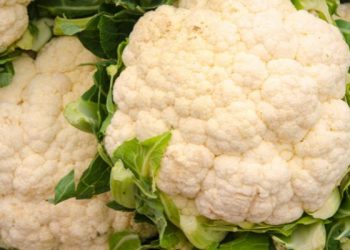 Manfaat kembang kol bagi kesehatan