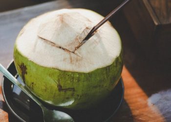 Perbedaan air kelapa muda dan tua