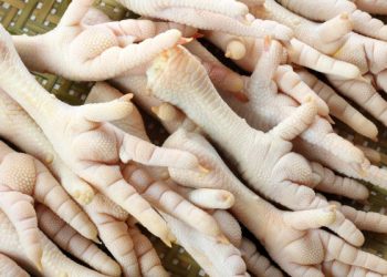 Tips membersihkan ceker ayam