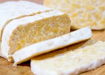 Manfaat tempe untuk kesehatan