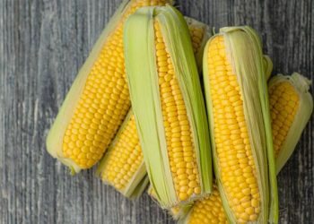 Tips menyimpan jagung agar tahan lama