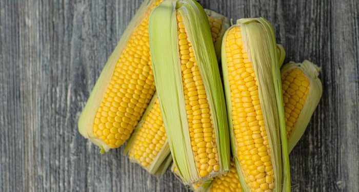 Tips menyimpan jagung agar tahan lama