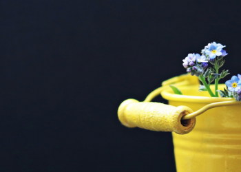 3 Fitur Instagram untuk Membuat Anak Aman