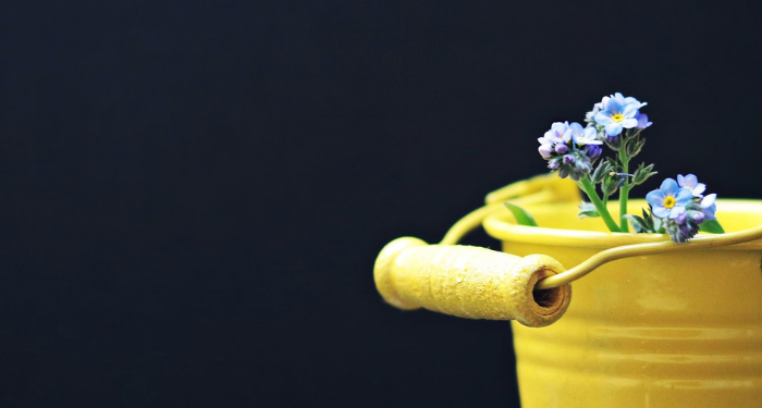 3 Fitur Instagram untuk Membuat Anak Aman