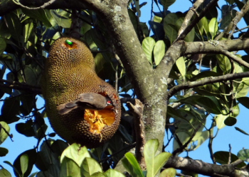 3 Fitur Instagram untuk Membuat Anak Aman