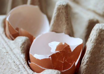 3 Fitur Instagram untuk Membuat Anak Aman