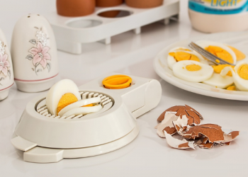 5 Manfaat Telur bagi Kesehatan Keluarga