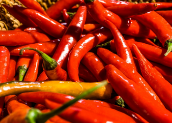 Ini Dia Rahasia Simpan Cabai agar Tahan Lama dan Tidak Busuk