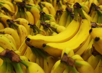 Cara Menyimpan dan Membekukan Pisang