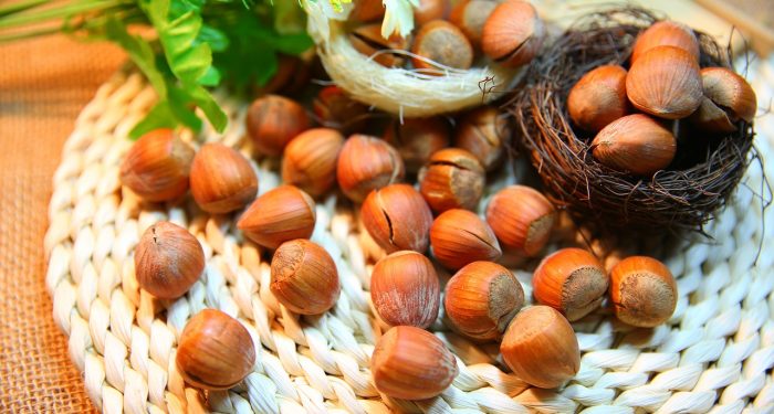 5 Cara Menebalkan Alis secara Alami